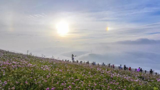 重阳登高，云上赏秋——贵州名山登高推荐榜