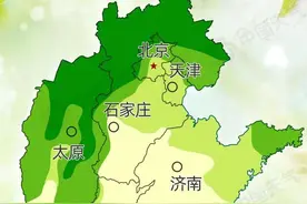 纷纷扬扬的飞絮期要持续多久，吸入口腔鼻腔怎么办图片