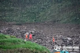 直击筠连“2·8”山体滑坡救援现场！挖掘机呈梯形布局 爬台阶搜救图片