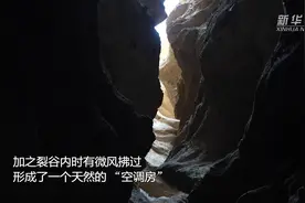 罗布泊大裂谷：藏在地下的神秘大峡谷图片