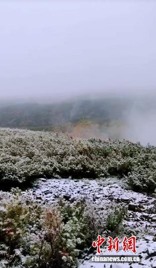 “中国最冷小镇”呼中迎今秋首雪 比去年晚3天