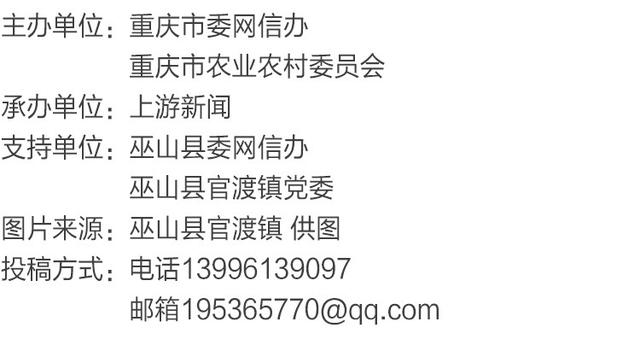 渝见好“村”光 | 巫山双月村：红叶如火，冬日C位绝了！