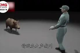 野猪入村！老人被撕咬不幸身亡，多方回应图片