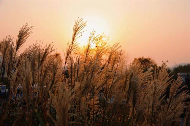 威海市环翠区：冬日“趣”看海 浪漫不打烊