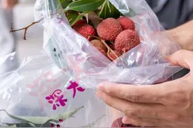 荔枝免费领！就在深大开放日→图片