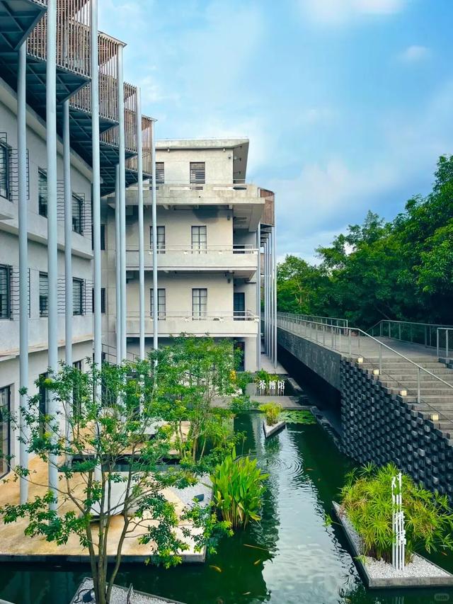 100张门票免费送！来高明“宝藏”度假区，一站式get秋天的松弛与浪漫~