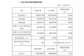 海南离岛免税承压，中国中免2024年营收净利双降图片