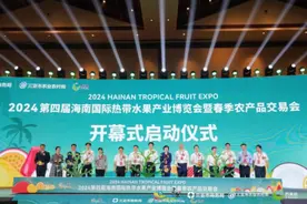 【热带风情 果香世界】——2024年海南国际热带水果产业博览会暨春季农产品交易会在三亚开幕图片