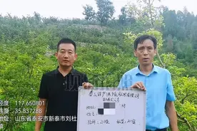 新泰甜山楂“尝鲜”定制农业险图片