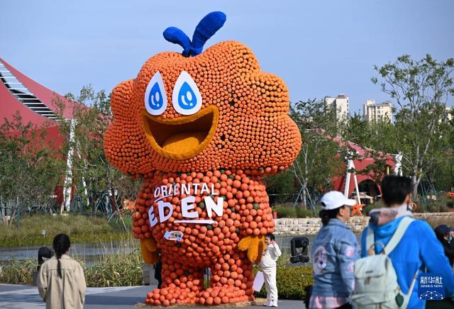 青岛：“南瓜王国”吸引游客