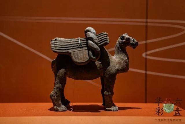 吾乡大藏·固原丨西北小城当年的“国际范”，超出你想象！