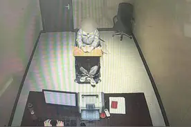 走哪就偷到哪，见猫就偷，男子一周盗窃猫咪14只！警方：已落网图片