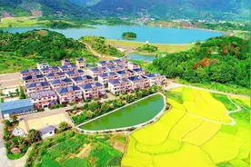 中国蓝观察丨浙江“千万工程”写入中央一号文件 助力乡村全面振兴图片