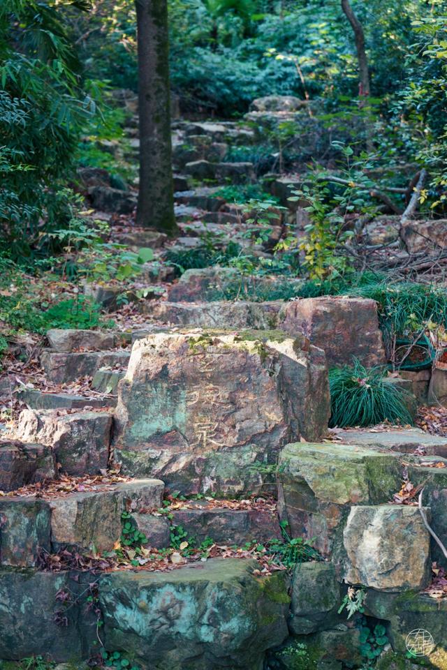 人少景美不绕路，东湖秋日彩蛋上新