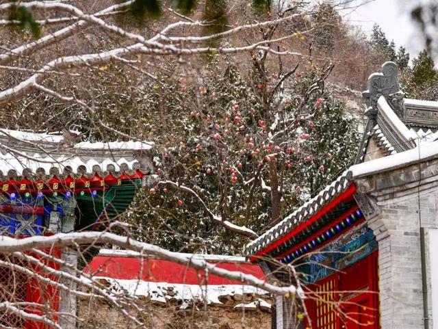 雪景美图来了！京郊赏雪宝藏线路，解锁冬日限时浪漫