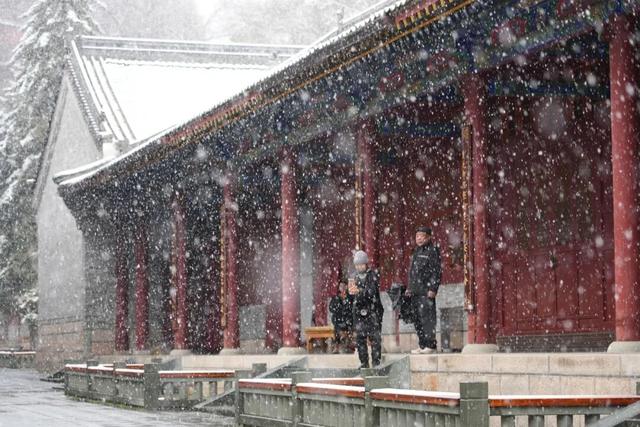 五台山景区飞雪迎“冬”！