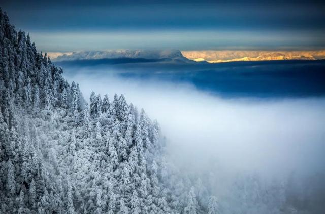 冷空气预警！鹅毛大雪即将突袭瓦屋山！