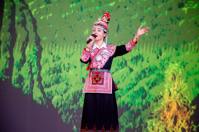 福建文化和旅游推介活动在坦桑尼亚成功举办
