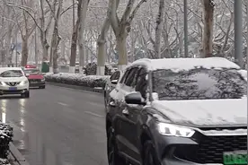 济南新年迎瑞雪，大批车辆行人冒雪行走为忙年图片