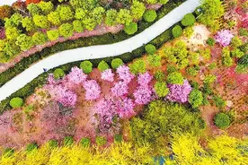 近悦远来 魅力尽展——许昌城市宜居度排名全省首位的背后图片