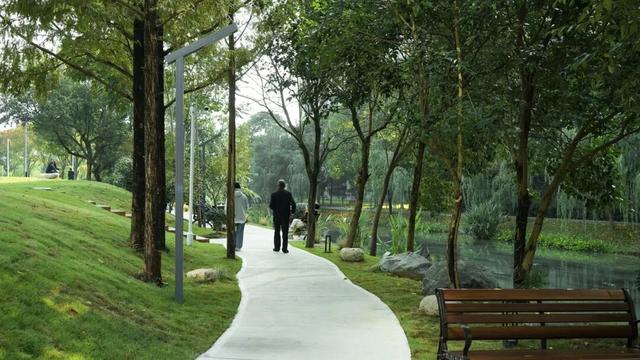 藏在医院里的治愈魔法！莲都又添宝藏休闲地