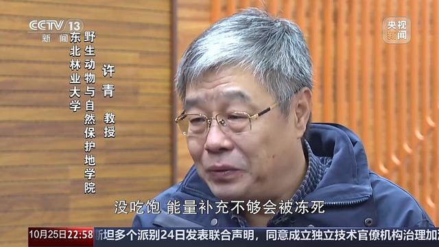 多地气温骤降 今年的秋天去哪儿了