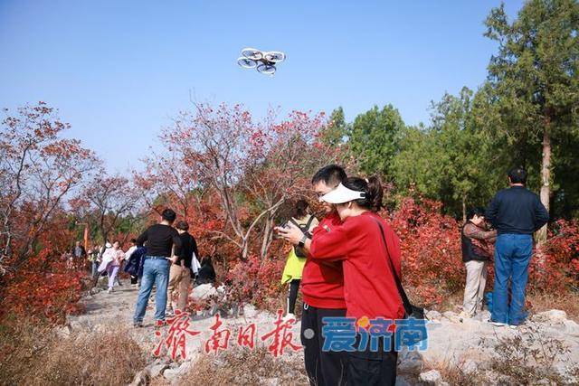 一年四季 泉在济南丨济南蝎子山秋色“美出圈”！半山红妆半山青翠，独特“鸳鸯火锅”景观引客来