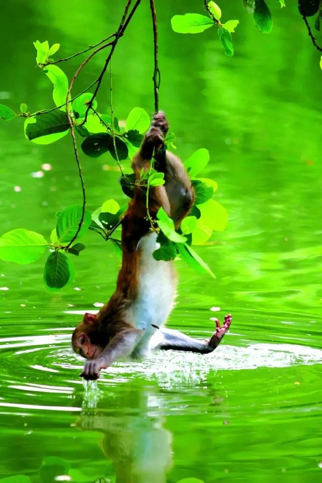 南宁就是冬日旅游天花板！摘果+跑马+演唱会+美景打卡，带你玩转“水果自由”之旅