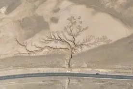 镜观中国·新华社国内新闻照片一周精选｜西藏那曲：大地上的“天空之树”（8）图片