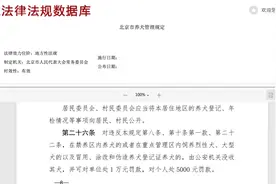 恶犬伤人拟纳入治安处罚！烈性犬都有哪些？图片
