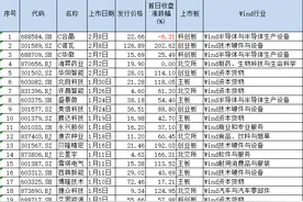 “大肉签”！诺瓦星云上市首日单签最高浮盈超14万，刷新近两年半记录图片