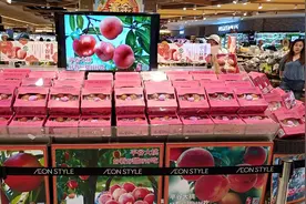 平谷大桃72小时直达港澳市民手中图片