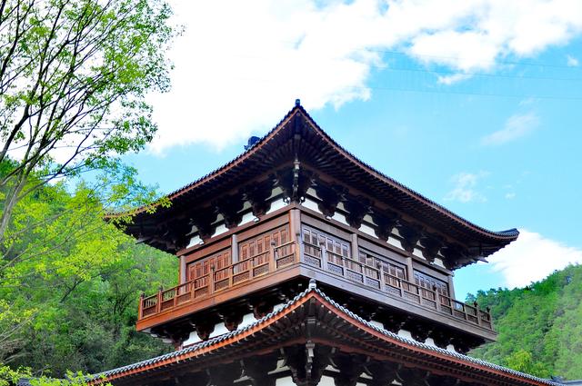 写点生活｜给生活支根棍儿