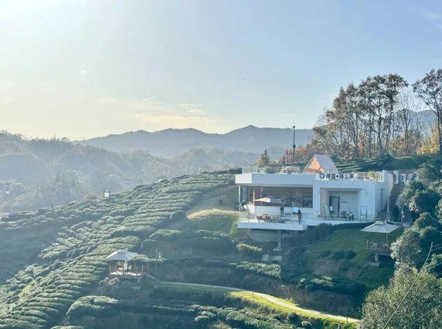 “沪六”对口合作走过三年：“瓜片产地”变身文旅小镇