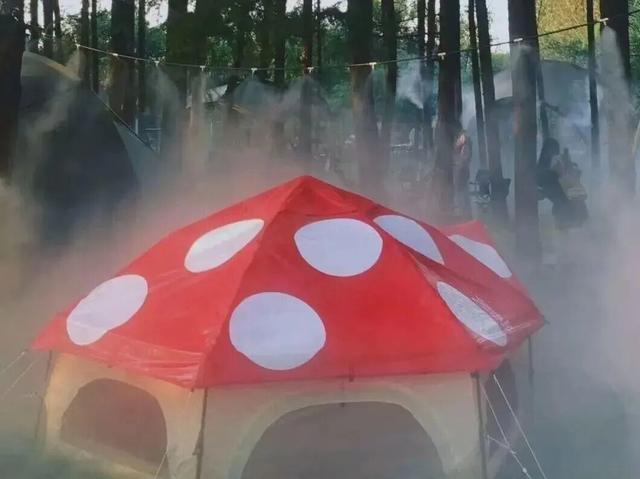 林间咖啡、湖中落日...嵩县这处小众秘境，你一定要知道！