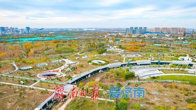 一年四季 泉在济南丨济钢片区中央森林公园初冬如画