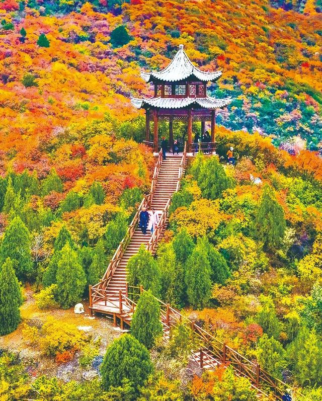 看！太原的秋天，绝美！