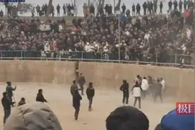 云南一斗牛比赛现场多人大打出手，有伤者被抬走，当地回应：第一时间终止了活动图片