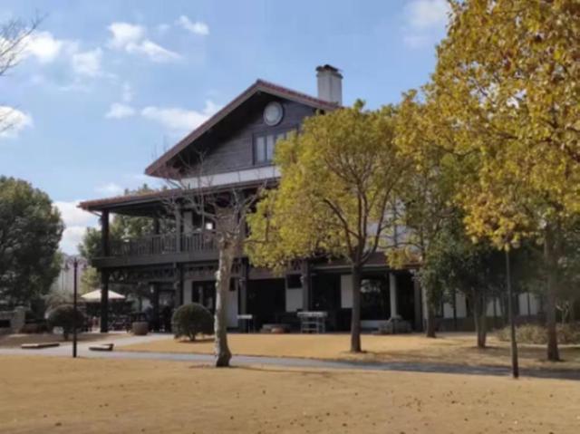 奉贤区景区限时免票或半价来了