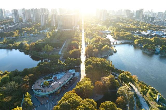 湖光金叶织秋韵