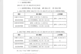 三只松鼠前三季度净利预估翻倍，“高端性价比”战略持续发力图片