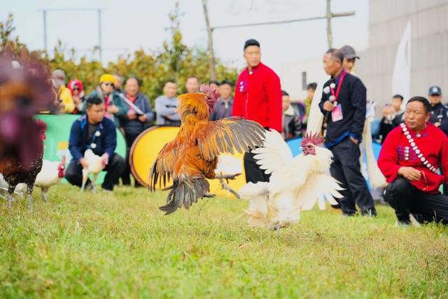 文旅发展 | 凉山螺髻山景区：自然风光+非遗民俗，努力争创5A级旅游景区
