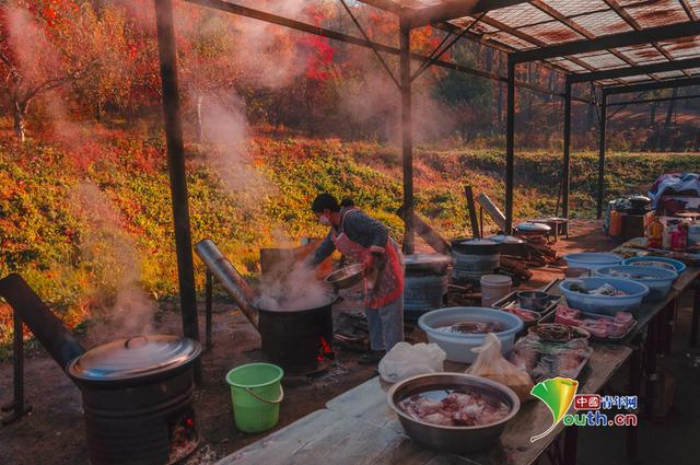 吉林舒兰：秋季红枫似火