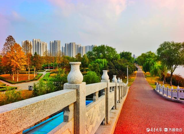 沂河岸边秋景美，抬眸尽是好风光