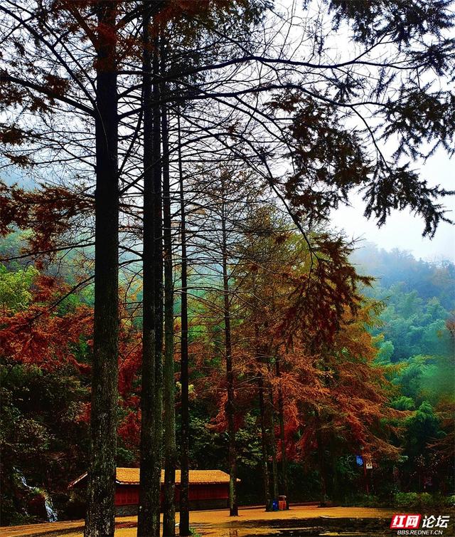 岁暖时刻丨奉嘎山：一座会呼吸的山，把人间烟火酿成了诗