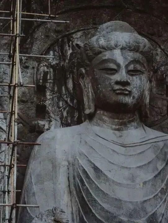 “一生总要去一次龙门石窟”