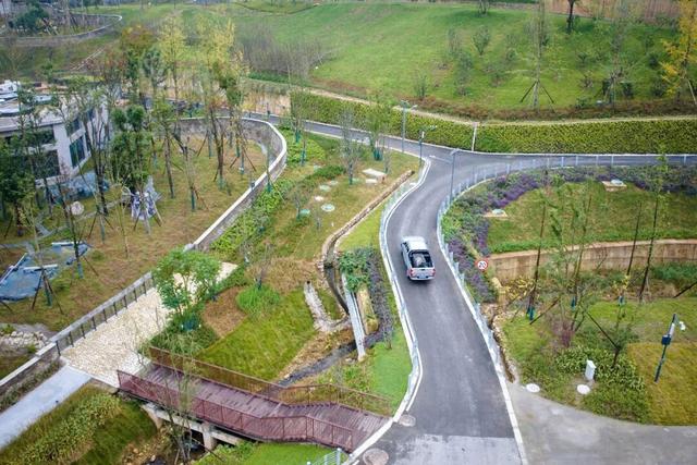 大熊猫搬家！网友：什么时候能去暖房？