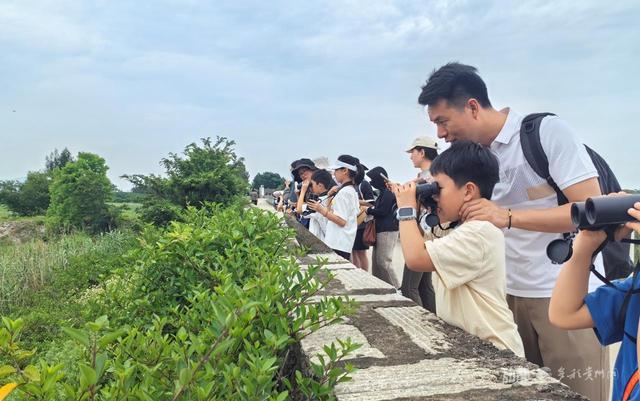 绿水青山的交响丨守护大美湿地 共享生态福祉