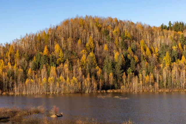 东北秋景天花板，错过再等一年