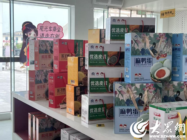 山东大学济帆兴岛实践团：青春力量为微山岛文旅发展添活力